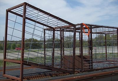 Hog Loading Ramp and hog trap