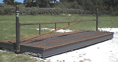 Alternate view of heavy duty cattle guard with endposts and swing gate