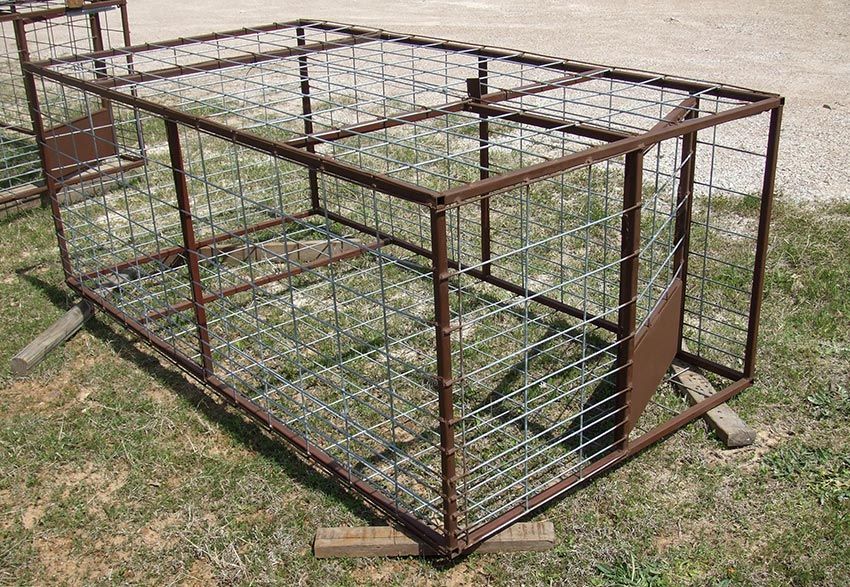 Wild Hog Trap with door shut